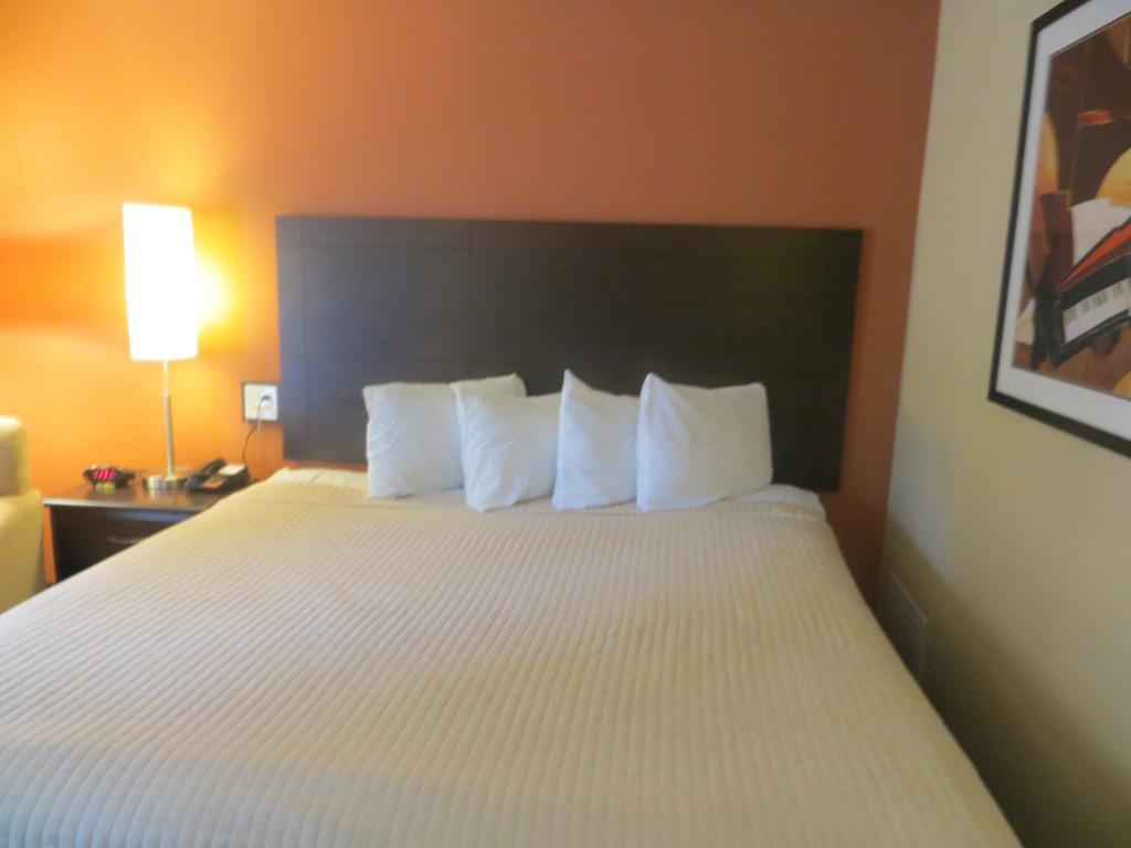 University Inn Austin North Rum bild
