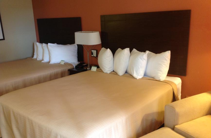 University Inn Austin North Rum bild
